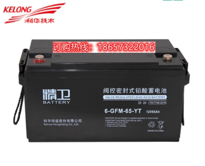 科华精卫蓄电池6-GFM-65-YT 12V65AH 直流屏用UPS电源用蓄电池