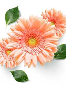 向日葵橙色花墙面遮丑补洞自粘贴纸立体墙贴墙面布置卧室房间贴画