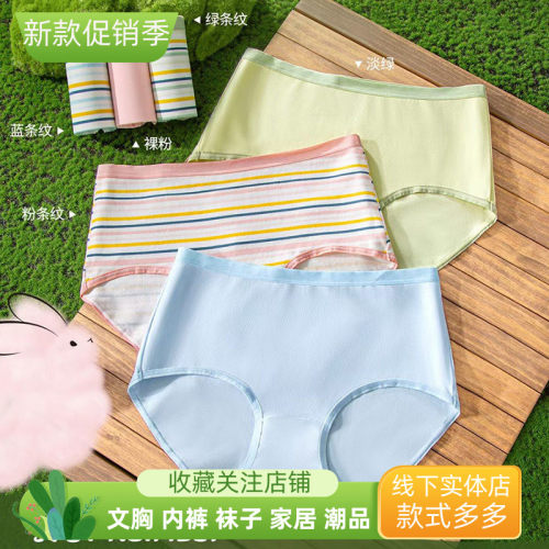 二条蝶安芬14351款弹力嘭嘭棉时尚彩色中腰青年女小平角内裤盒装