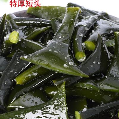 特厚短海带头新鲜盐渍霞浦海带块特厚实软糯非干货新鲜煲汤火锅