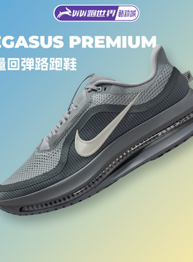 Nike/耐克PegasusPremium男鞋