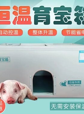 猪场育宝箱小猪产床取暖保温猪仔箱育雏恒温电热板仔猪保育保温箱