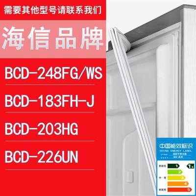 适用海信冰箱BCD-248FG/WS183FH