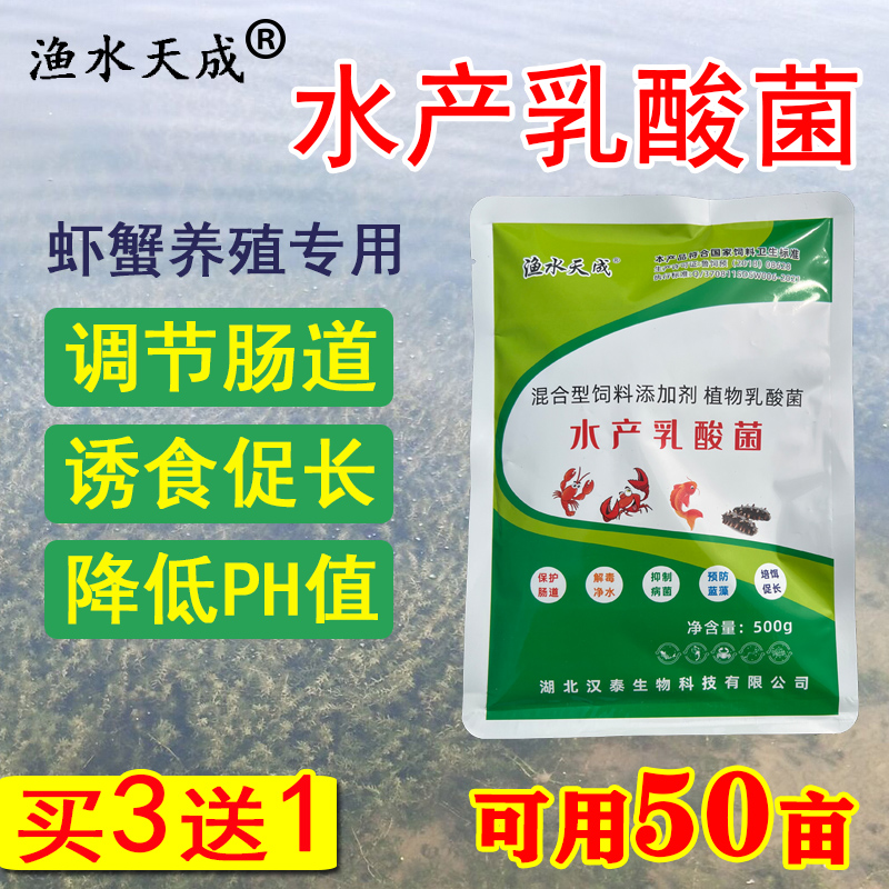 渔水天成水产养殖专用发酵乳酸菌