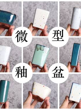 白色粗陶微型姬月季小花盆