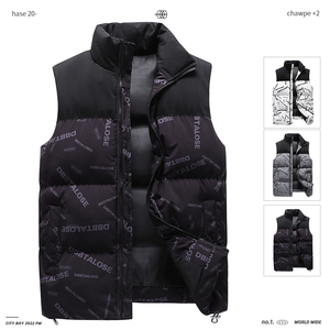 秋冬立领男士棉服外套男装马甲保暖马夹休闲棉衣背心上衣MJ99-P35图片