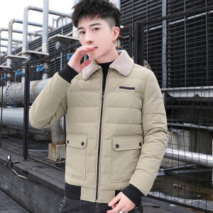 冬季男士羊羔绒翻领棉衣短款外套修身羽绒棉服加厚棉衣827-P65图片