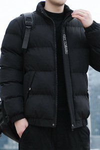 棉衣男冬季棉袄短款立领韩版休闲外套男加厚保暖羽绒棉服8388-P45图片