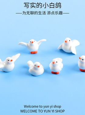 可爱卡通小白鸽 微景观苔藓多肉植物diy园艺动物树脂工艺品摆件