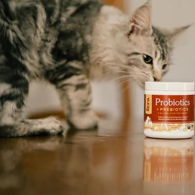 【现货】Fera Pets 有机益生菌+益生元 - 宠物健康消化的理想选择