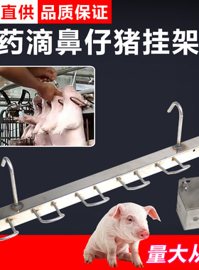 小猪用挂猪器喂药灌药滴鼻剪牙注射用仔猪固定架五位方管挂猪架
