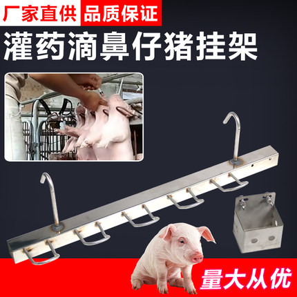 小猪用挂猪器喂药灌药滴鼻剪牙注射用仔猪固定架五位方管挂猪架