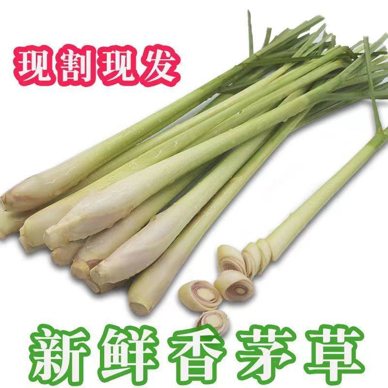 新鲜香茅草食用奶茶店调料泡茶香茅1斤泰国冬阴功食材香料柠檬草