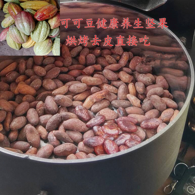 黑巧克力豆原料，可可果原豆