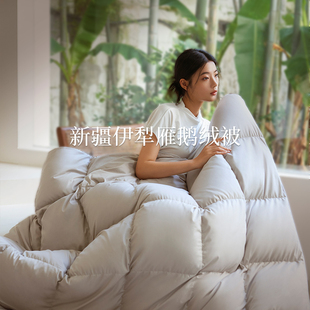 可用子母夏冬春秋暖气透气酒店单双人 雁皇伊犁雁鹅绒被羽绒被四季