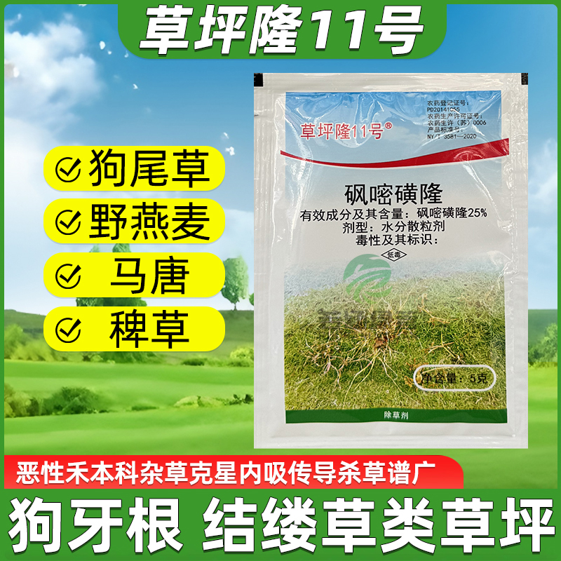 草坪隆11号结缕草百慕大除草剂马唐稗草狗尾巴禾本科尖叶杂草除草