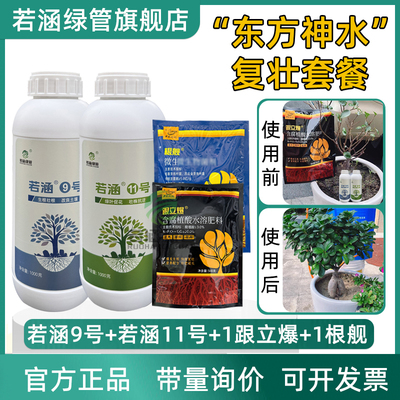 萌茂若涵11号草坪苗木绿篱复活水