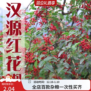 大红袍花椒四川汉源花椒粉干红花椒红麻椒浓香醇麻 特麻特香红花