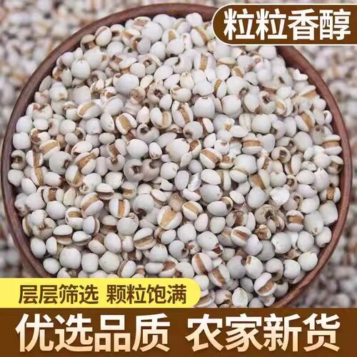 农家特级薏米贵州散装米粥常用杂粮粗粮