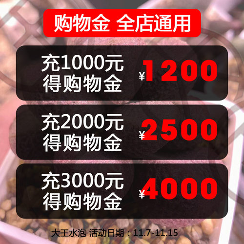 购物金 充值1000送200，充值2000送500，充值3000送1000-全店通用