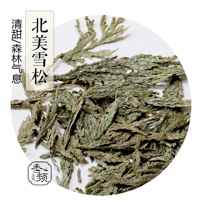 北美雪松细粉森林气息