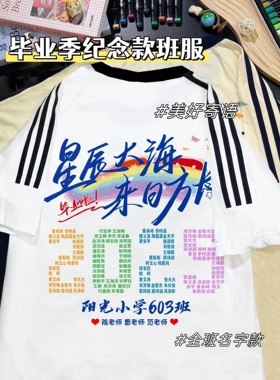 班服定制t恤短袖毕业初高中小学运动会聚会活动初三中考誓师服装