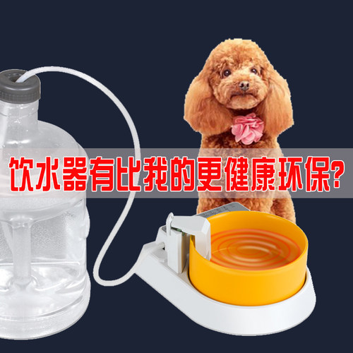 宠物猫咪狗自动饮水器自动抽水陶瓷环保自动恒温加热蓄水饮水机