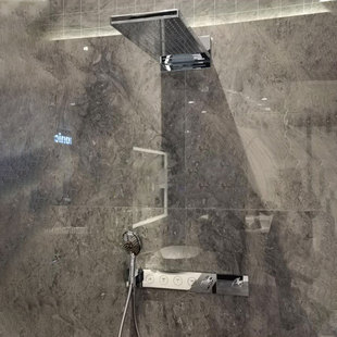 德国进口汉斯格雅雅生花洒580暗装3速淋浴花洒35283000/35283007