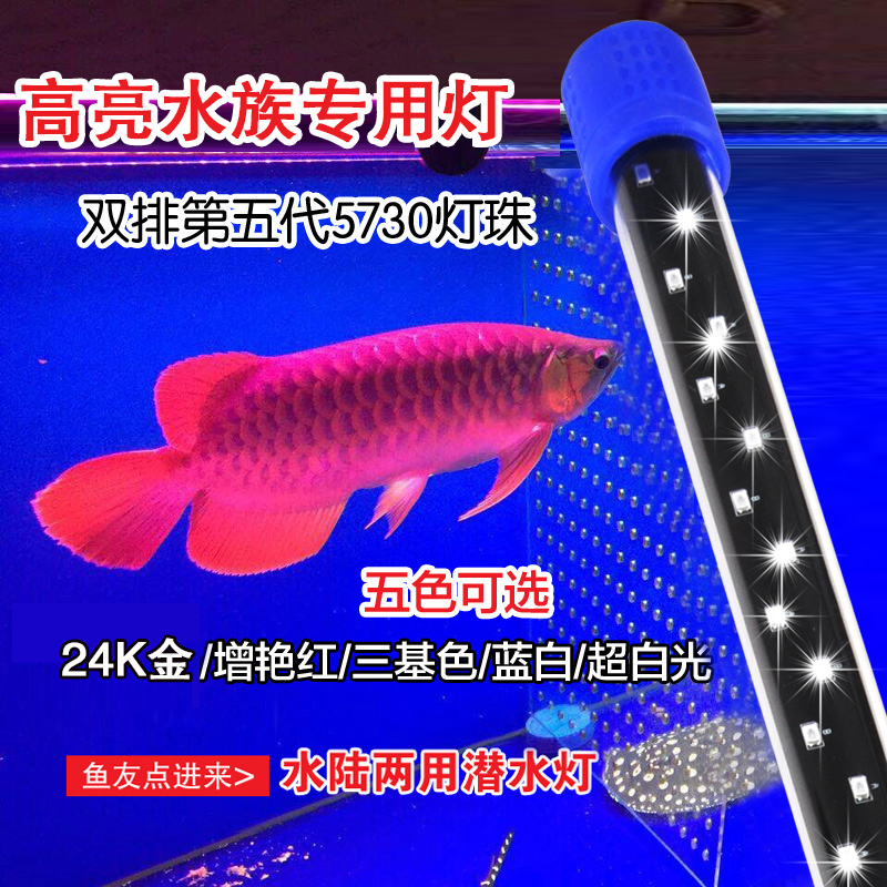 LED潛水燈水草金龍魚照明燈魚缸草缸t8水族箱燈管紅龍鹦鹉羅漢燈在類目 寵物/寵物食品及用品, 水族世界, 魚缸等水族設備, 照明器材中 - 來自Buy2taobao.com提供專業的淘寶代購服務