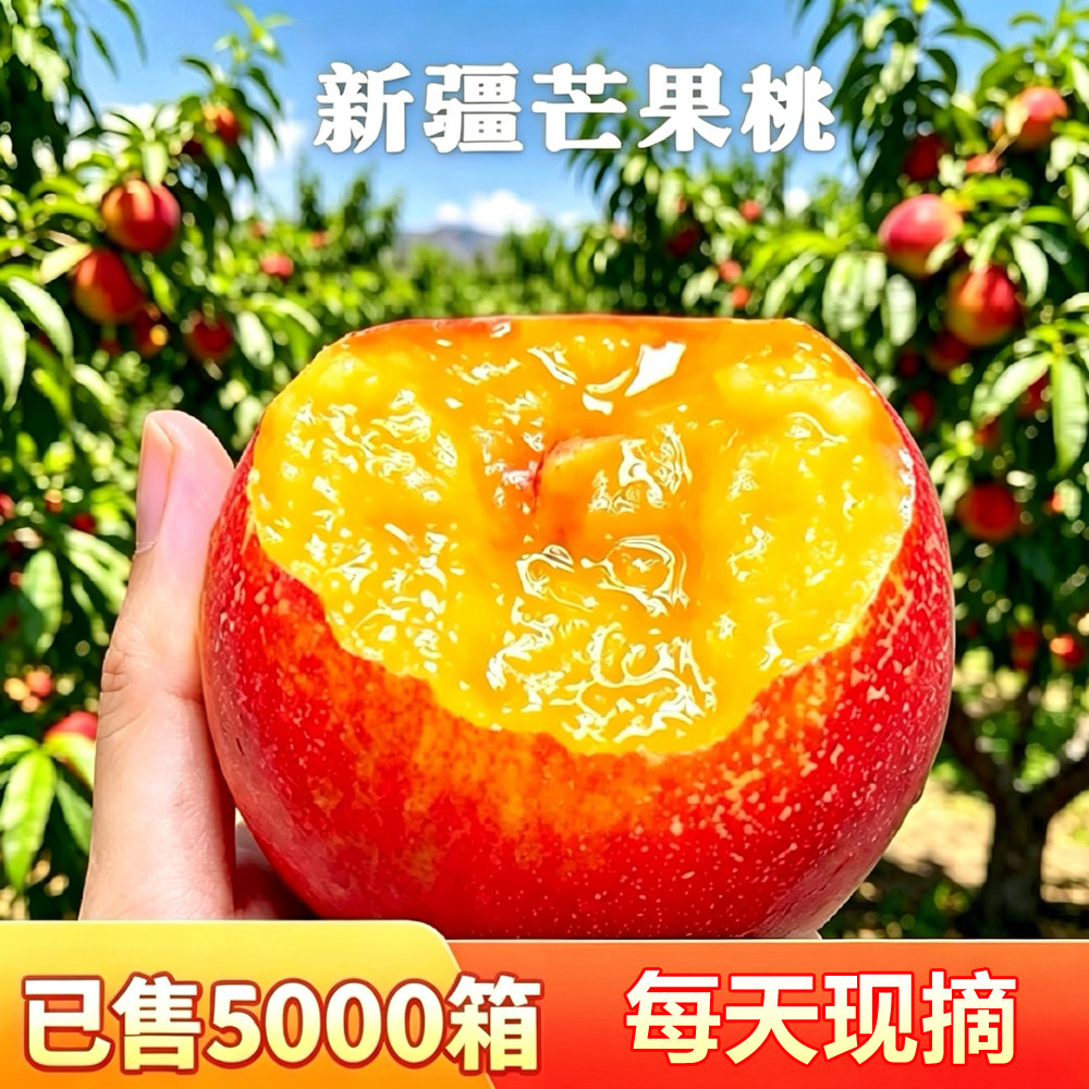 【想妮】新疆芒果桃黄肉油桃 沙王油桃新疆桃子新鲜水果 顺丰空运