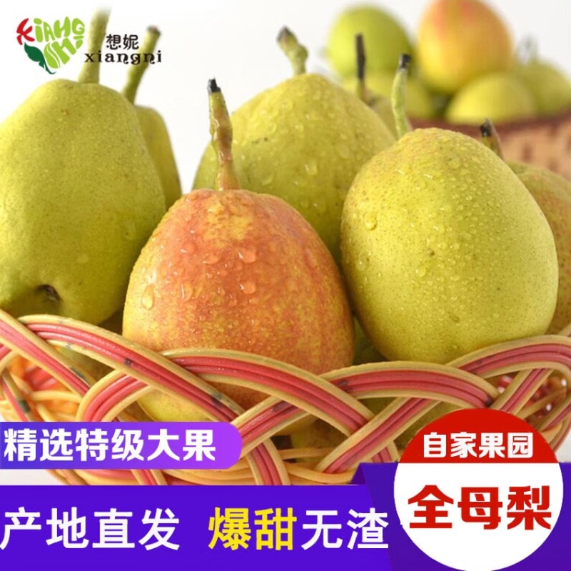 想妮产地直发新疆库尔勒香梨