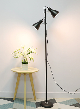 阅读双头书房立式台灯 卧室客厅led遥控北欧现代简约网红落地灯