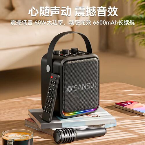 山水T91蓝牙音箱广场舞K歌音箱u盘TF卡播放器大功率户外音箱声卡