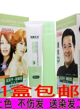 2021流行色五贝子染发剂自己染发