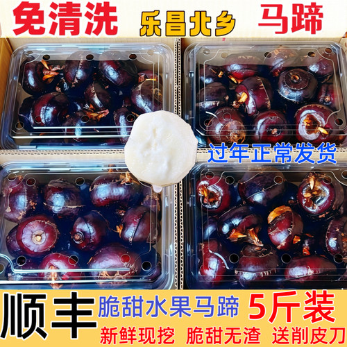 乐昌北乡荸荠免洗马蹄即食脆甜