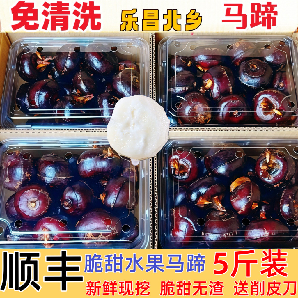 正宗乐昌北乡荸荠脆甜无渣马蹄免清洗地梨即食水果蔬菜新鲜现挖,水产肉类/新鲜蔬果/熟食,荸荠/马蹄,淘宝优惠券,粉丝福利购,淘宝优惠卷