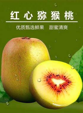 品质款 四川蒲江红心猕猴桃非徐香奇异果纯甜5斤新鲜水果一件代发
