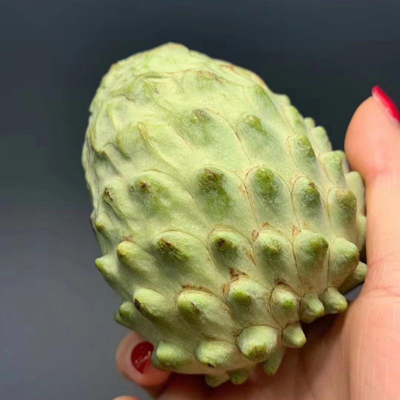 【凤梨释迦果】当季鲜果5斤番荔枝超甜佛头果新鲜水果代发