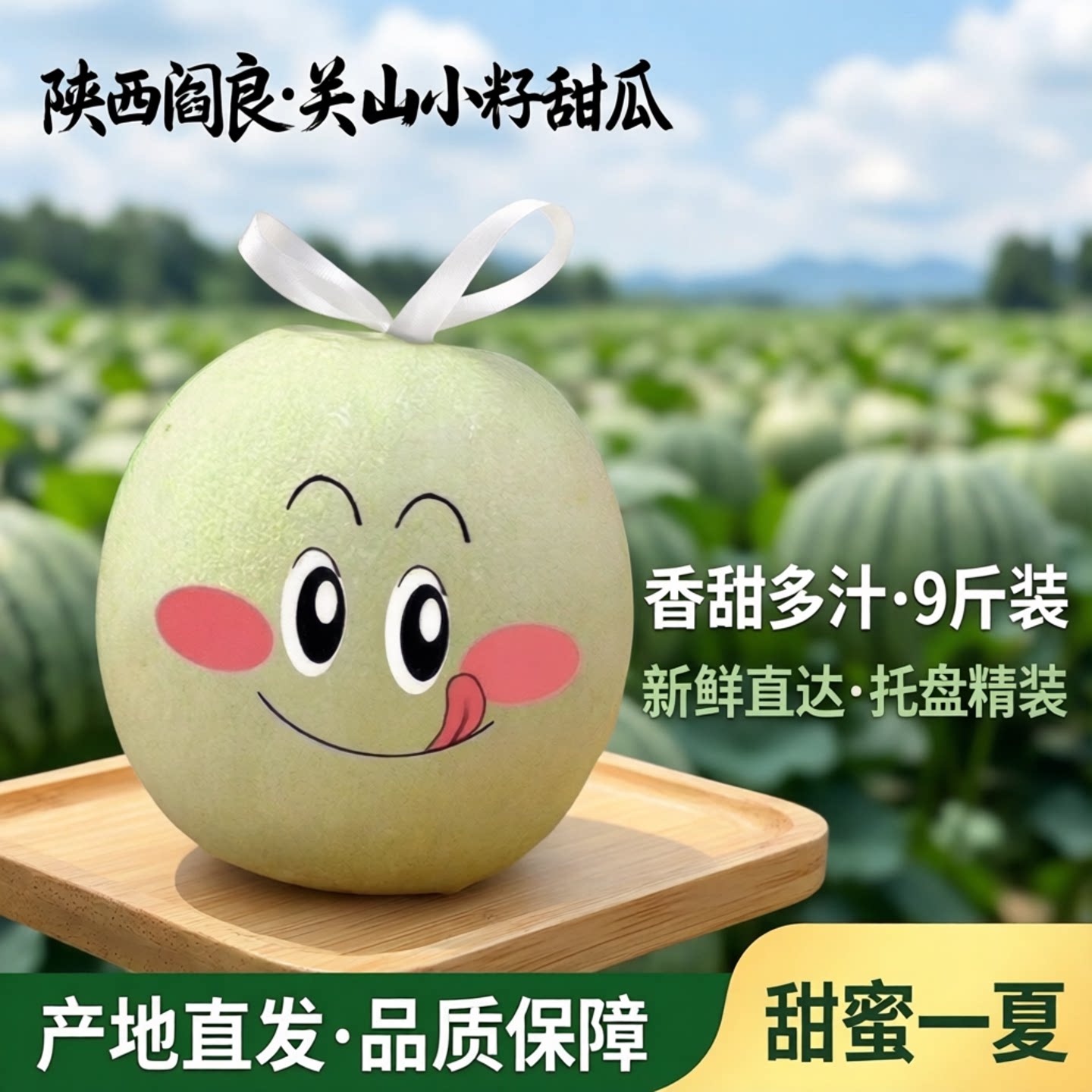 【阎良甜瓜】陕西关山小籽甜瓜香杨梅
