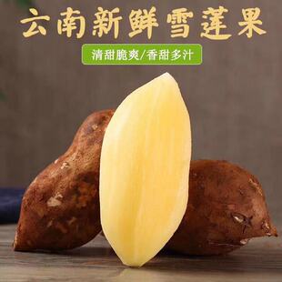 【云南天山红泥雪莲果】口感脆嫩甘甜多汁9斤新鲜水果一件代发