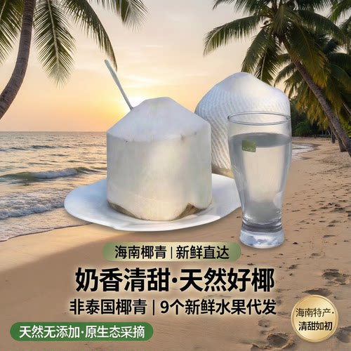 【海南椰青】新鲜奶香椰汁清甜老椰子非泰国椰青9个新鲜水果代发