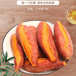 【福建六鳌蜜薯大红叶红蜜薯】海边沙地地瓜代餐粗粮新鲜水果代