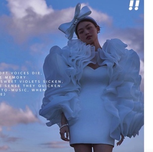 实拍~新娘婚纱配饰欧根纱夸张造型影楼摄影拍照写真主题服饰配件