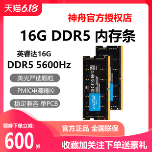 16GB 保证 DDR5 正品 神舟拆机 5600MB笔记本内存条 Crucial英睿达