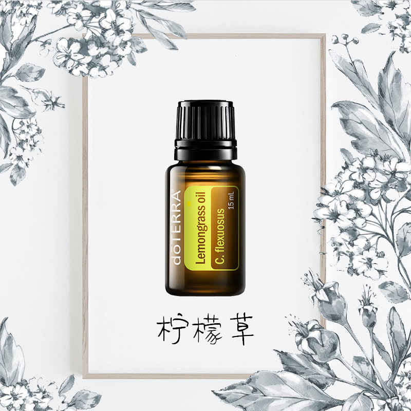 柠檬草精油doTERRA多特瑞美国15ml单方精油驱虫紧致肌肤香熏