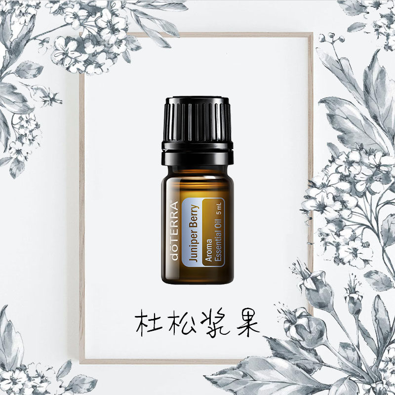 杜松浆果精油doterra多特瑞美国官网杜松浆果5ml单方护肾释压刮码