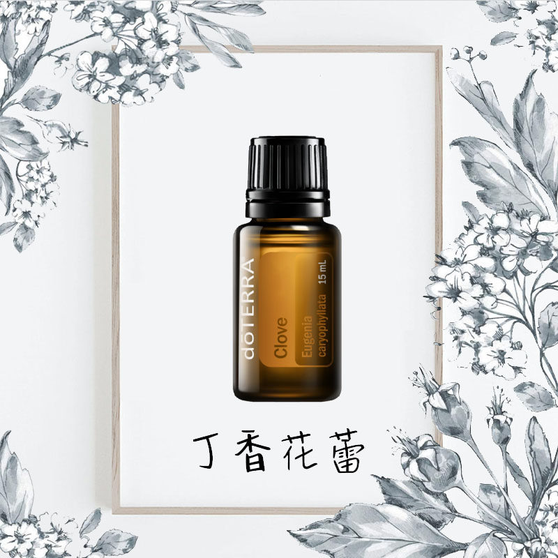 丁香花蕾精油doterra多特瑞美国15ml单方精油抗氧化口腔护理刮码