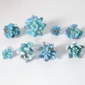 仿真多肉植物摆件蓝色系多肉造景摆设家居客厅桌面窗台装 饰盆景