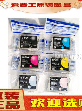原装正品 爱普生t0491 t0495 t0496墨盒 爱普生r230 r210拆机墨盒