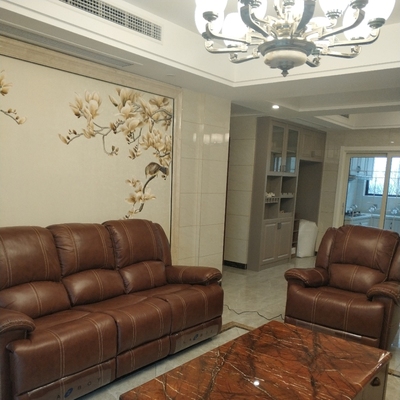 乐至宝沙发怎么样（前车之鉴）有必要告诉大家真相